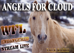 Angels for Cloud